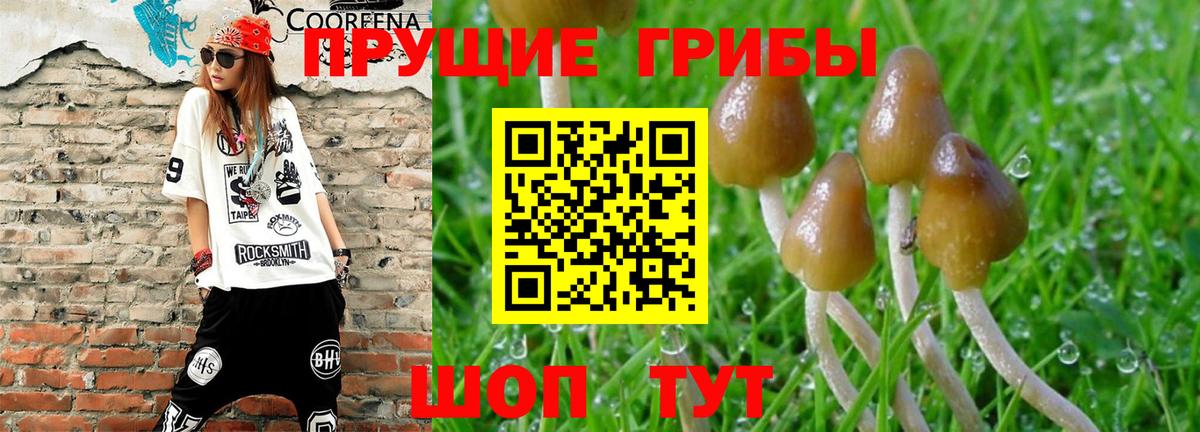 Купить наркотики  ТГК  Муравленко  Вход с VPN  Меф МЯУ МЯУ   Гашиш  Марихуана  Cocaine 