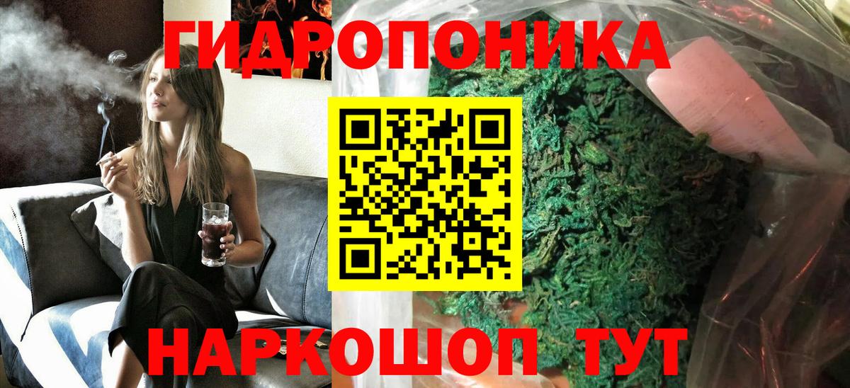 Каннабис сатива Муравленко